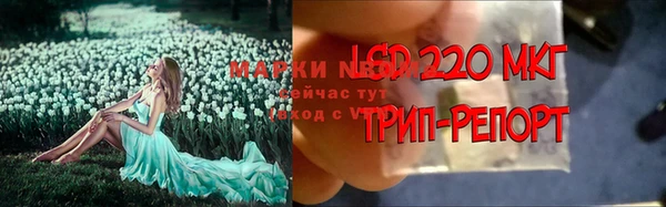 не бодяженный Белокуриха