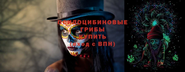не бодяженный Белокуриха