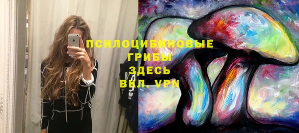 не бодяженный Белокуриха