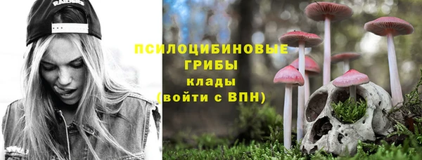 не бодяженный Белокуриха