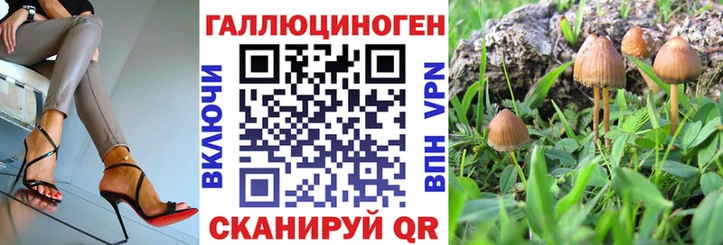Псилоцибиновые грибы мухоморы Красный Холм